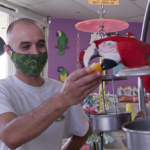 WorkFirst participant enjoys his job working in a bird shop. 